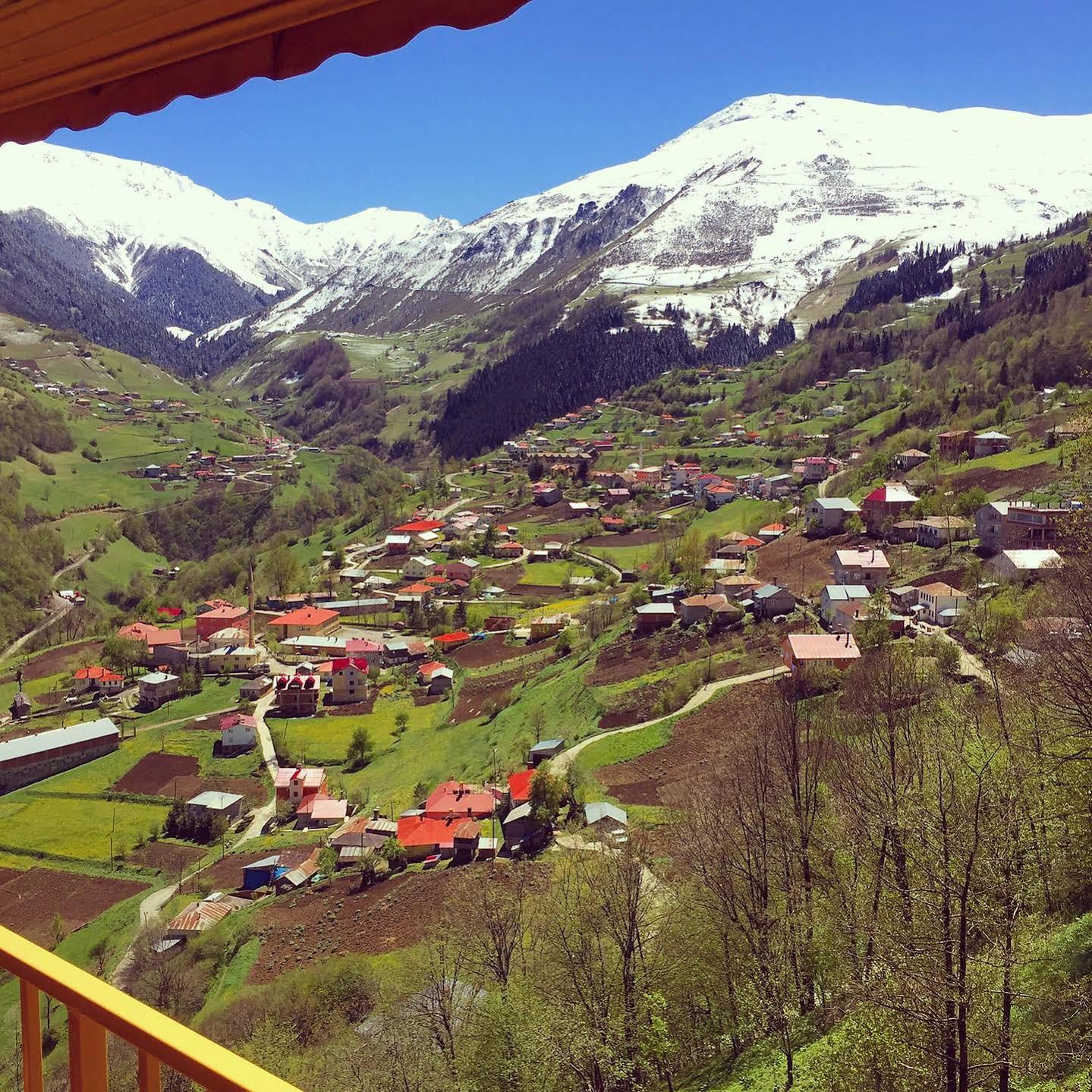 Hamsiköy Seyirtepe Butik Otel Hamsikoy Dış mekan fotoğraf